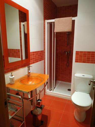 łazienka z umywalką, toaletą i prysznicem w obiekcie Apartamentos Arribes la Corredera w mieście Aldeadávila de la Ribera