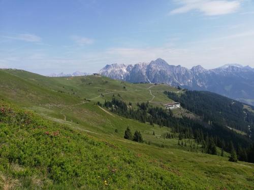 a green hill with trees and mountains in the background at Julia in Kaprun