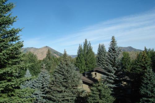 Snow Creek 1510 – Photos 3