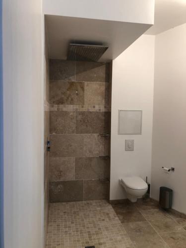 Ένα μπάνιο στο Loft Spa Reims-fr 250m2 privatifs, piscine intérieure chauffée, spa et parking