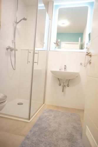 ein Bad mit einer Dusche und einem Waschbecken in der Unterkunft Ferienwohnung Lörrach Alice in Lörrach