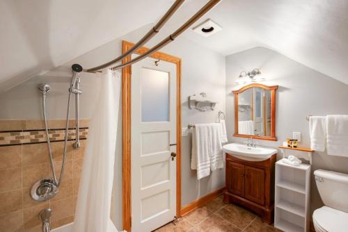 a bathroom with a shower and a sink and a mirror at Historic District BnB in Saint Paul