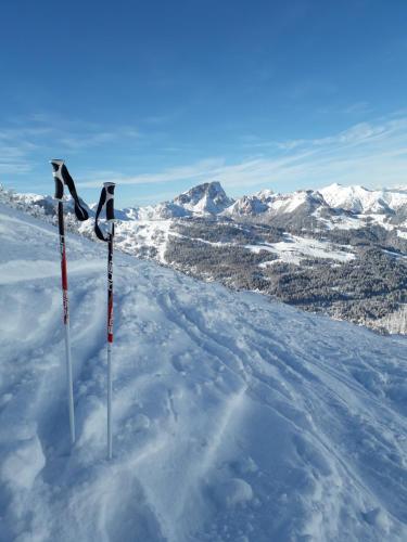 two ski poles on top of a snow covered mountain at Ferienhaus Waldhof in Hermagor