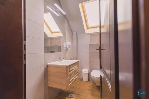 bagno con lavandino e servizi igienici con lucernari. di Farkas Panzió a Praid