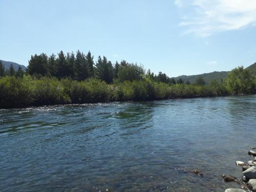 a view of a river with trees in the background at Achibueno Lodge in Linares