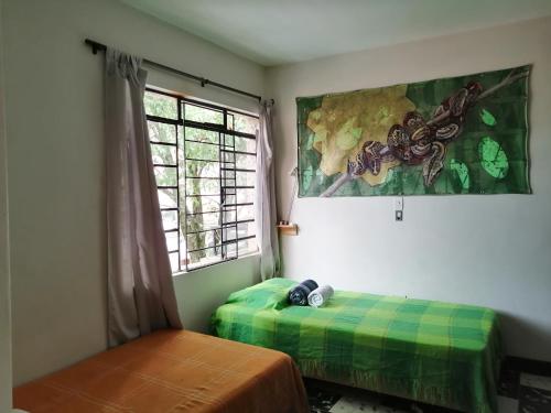 a bedroom with a bed next to a window at Selvática Alojamiento Eco in Medellín