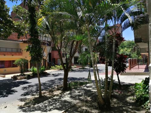 a group of palm trees in a courtyard at Selvática Alojamiento Eco in Medellín