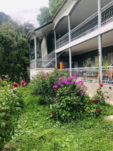 Φωτογραφία από το άλμπουμ του Guest House Vivaushba σε Bagvdanari