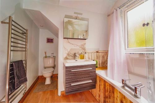 a bathroom with a sink and a toilet and a shower at Writing Shed Wales in Login