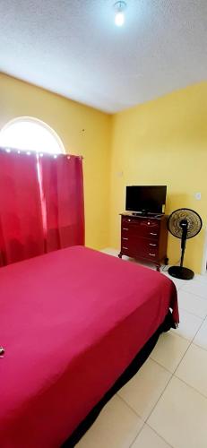a bedroom with a red bed and a television at Spring Palm Estate in St Mary