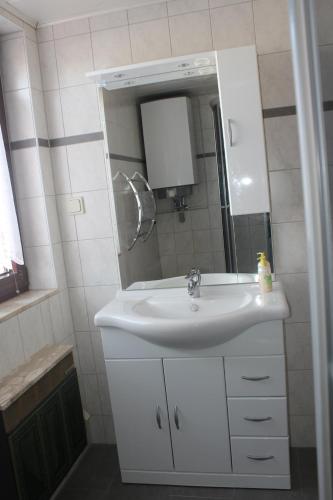 a bathroom with a white sink and a mirror at Ferienhaus Fam. Gottbehüt in Oberweid
