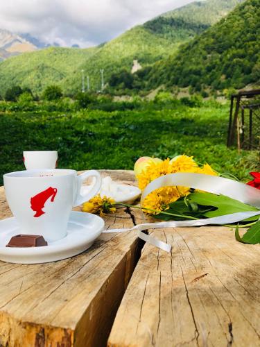 Φωτογραφία από το άλμπουμ του Guest House Vivaushba σε Bagvdanari
