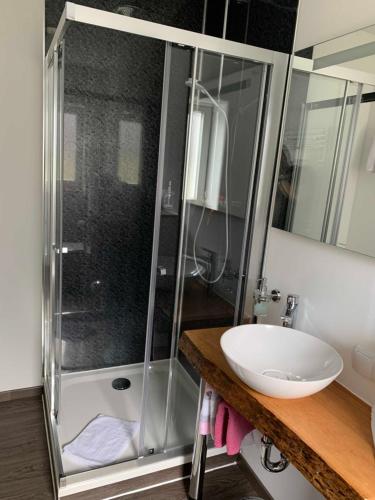 a bathroom with a shower and a sink at Gasthof zum Waldstein in Zell im Fichtelgebirge