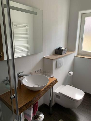a bathroom with a white sink and a toilet at Gasthof zum Waldstein in Zell im Fichtelgebirge