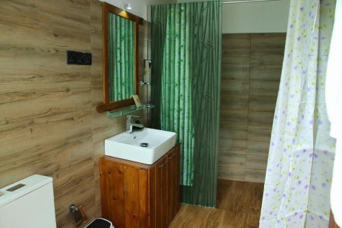 a bathroom with a sink and a green shower curtain at Aloft Grand Hotel Ella in Ella