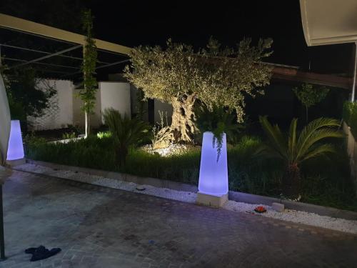 Taman di luar Residenza Carlucci