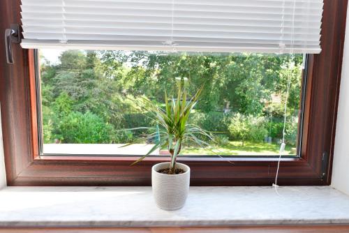 a potted plant sitting on a window sill at MIA - Ferienwohnung Wehdel bei Bremerhaven in Wehdel