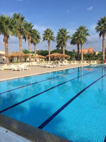 una piscina con palme sullo sfondo di B&B Baia dello Stretto a Gallico Marina