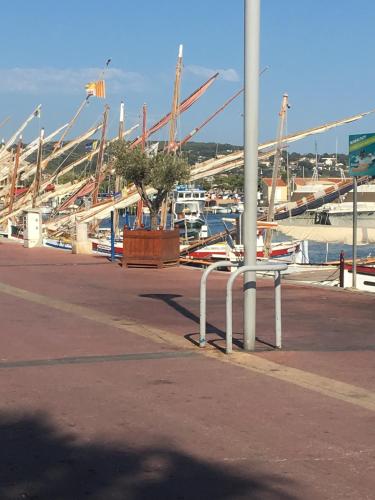 Φυσικό τοπίο κοντά σε αυτό το διαμέρισμα