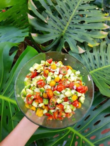 a person holding a glass plate with a salad at Finca Luna Nueva Lodge in Fortuna