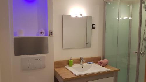 a bathroom with a sink and a glass shower at Appartements Coeur de Village in Saint-Jean-du-Bruel