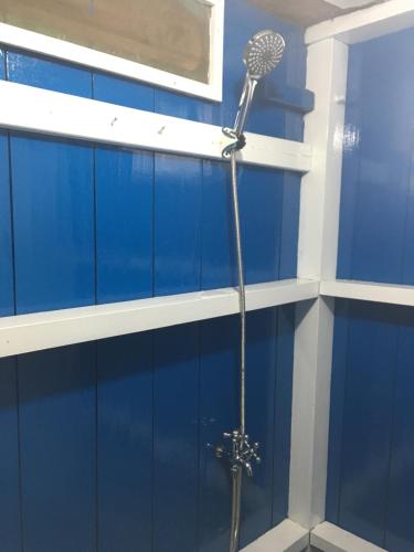 a shower in a bathroom with a blue wall at Arut Riverside Guesthouse in Pangkalan Bun