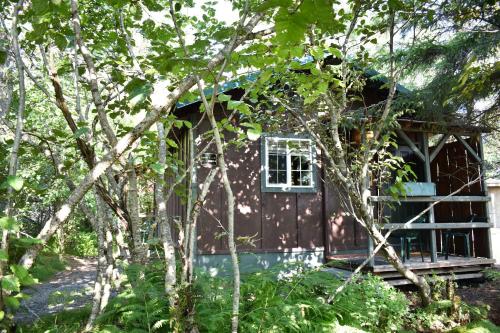 Κήπος έξω από το Exit Glacier Lodge