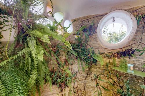a room with a window and plants on the wall at Seahorse @ Swan Villas in Placencia Village