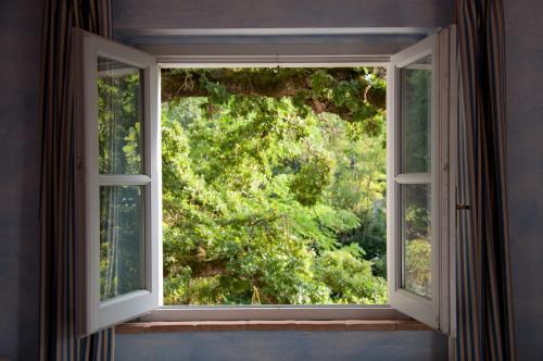 an open window with a view of a tree at Sette Querce in San Casciano dei Bagni