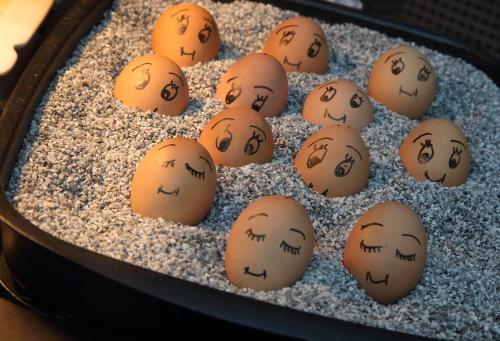 a bunch of eggs with faces drawn on them at Hotel Forsthaus Grüna Betreibergesellschaft mbH in Chemnitz