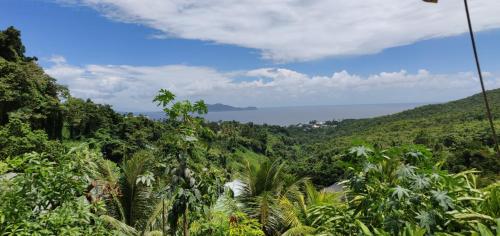 a view of the rainforest from the top of a mountain at Escale Caraibes in Trois-Rivières
