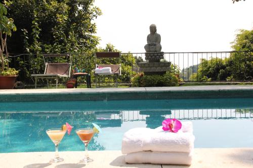 a pool with two martini glasses and a towel at Tu cabaña Cuernavaca - hospedaje by Arcadia in Cuernavaca