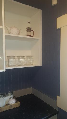a kitchen with blue walls and a shelf with dishes at 64Lewis in Invercargill