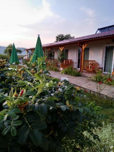 a house with a garden and some green umbrellas at Pensiunea Poezii Alese in Valea Drăganului
