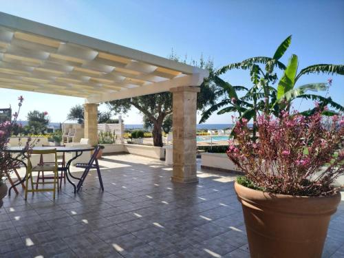 a patio with a table and chairs and plants at B&B Giglio Marino in Salve