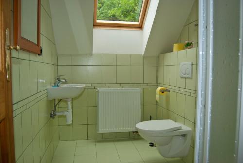 ein Bad mit einem WC und einem Waschbecken in der Unterkunft Penzion Javorský mlýn in Lázně Bělohrad