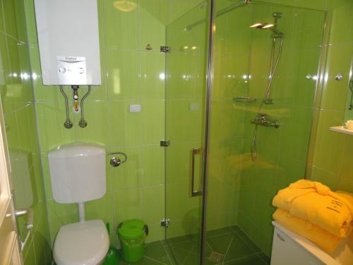 a green bathroom with a shower and a toilet at Korošec Apartments and Wellness Centre in Mozirje