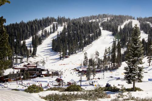 Northstar Original Village Studio Two – Photos 2