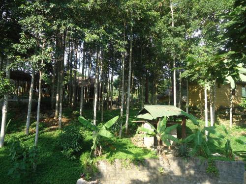 a man standing in a park with an umbrella at Truong Xuan Ecology in Ha Giang