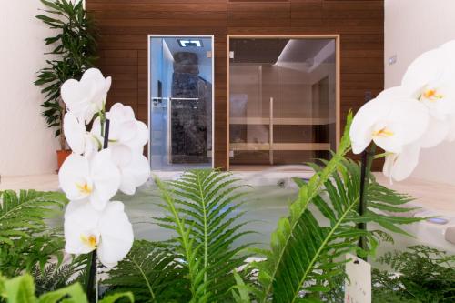 a group of white flowers in front of a building at Villa Smeralda Punta Lada Porto Rotondo in Porto Rotondo
