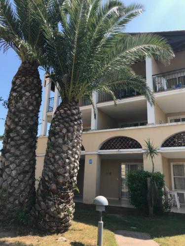 two palm trees in front of a building at Studio Cap Esterel in Agay - Saint Raphael