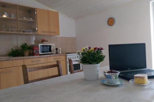 Kuchyň nebo kuchyňský kout v ubytování Apartmani Marija