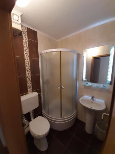 a bathroom with a shower and a toilet and a sink at Villa Gaga in Međugorje