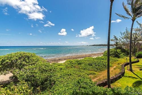 a beach with a palm tree and the ocean at Stunning Luxurious Ocean Villa with Ocean Views From All bedrooms. in Kahuku