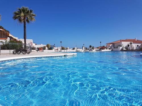 a large blue swimming pool with a palm tree at Playa del Duque in 1st sea line directly on the beach, heated pool, Wifi, balcony in Adeje