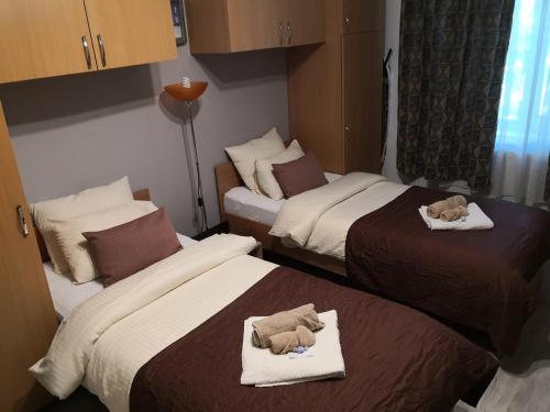 two beds in a hotel room with stuffed animals on them at CENTRAL STUDIO HUNEDOARA in Hunedoara