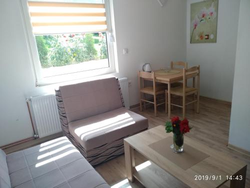 a living room with a couch and a table at Apartments & Rooms Bojic in Kolašin