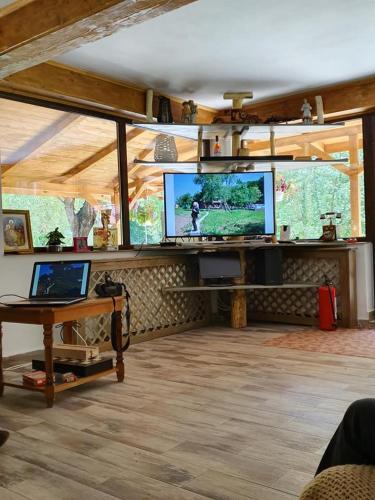 Televisyen dan/atau pusat hiburan di Pensiunea Turistica VALEA MIERII
