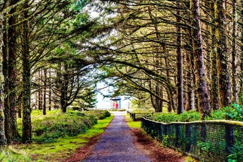 a path in a park with trees and a fence at Berni's Ocean View Castle - The Potter's Wheel in Oceanside