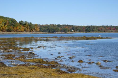 a large body of water with trees in the background at The Eagle's Nest in Waldoboro